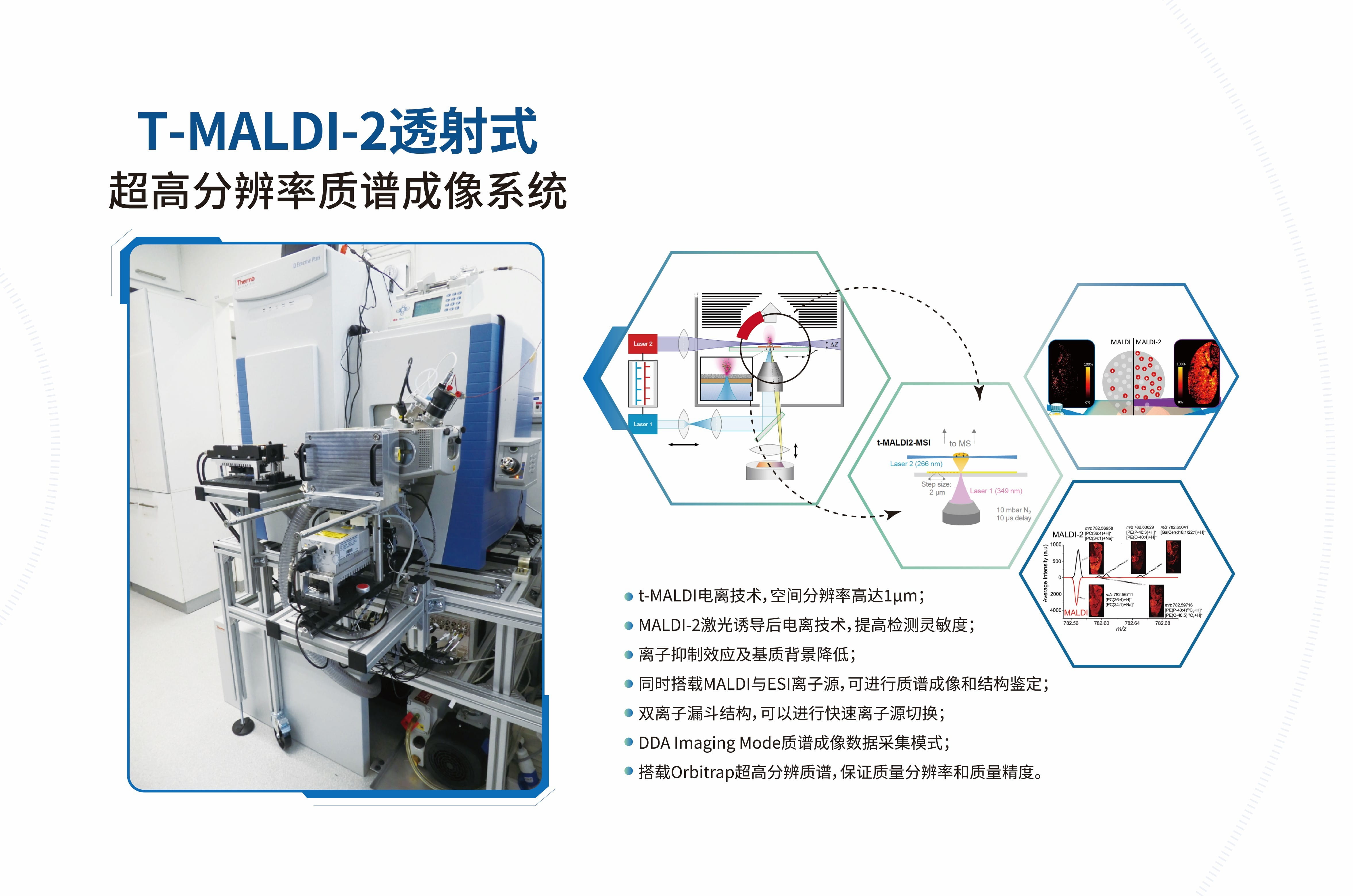 T MALDI质谱成像1