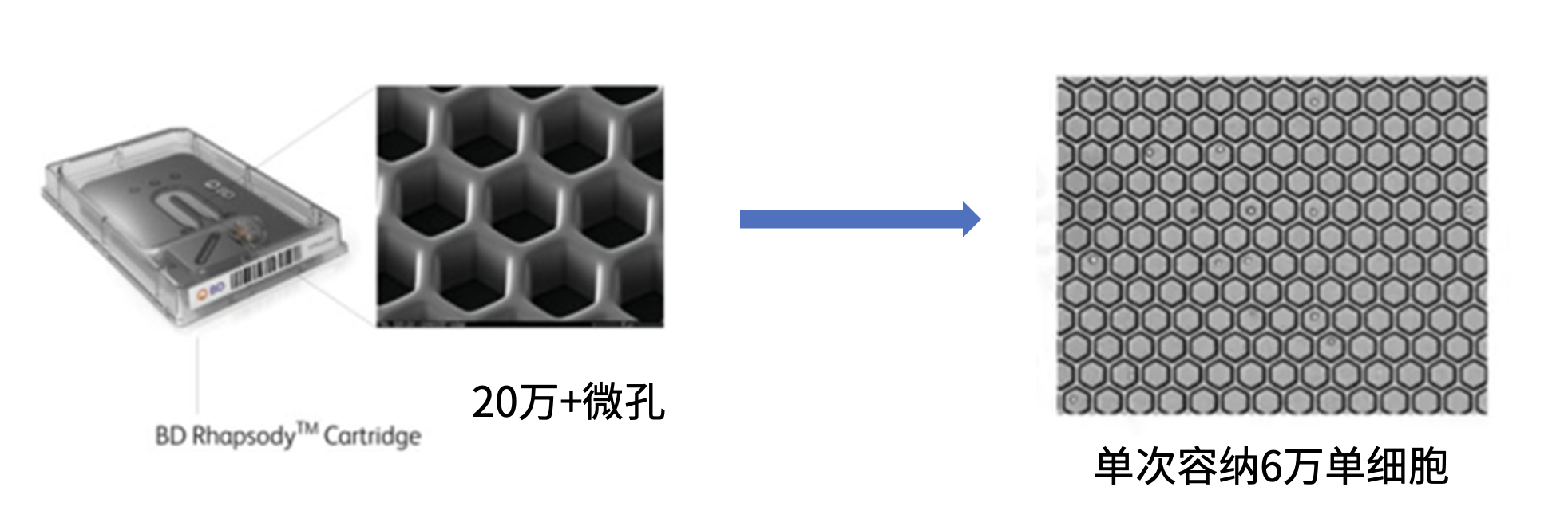 截屏2025 07 09 15.43.21